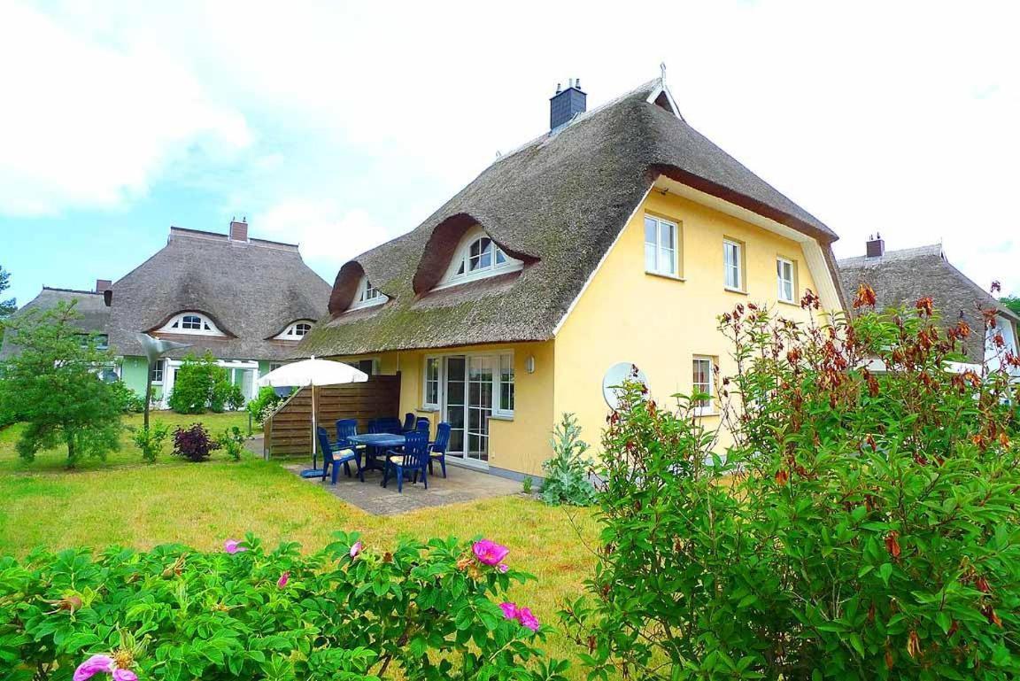 Ferienhaus An Der Alten Waldschaenke Ws-11A Born Dış mekan fotoğraf