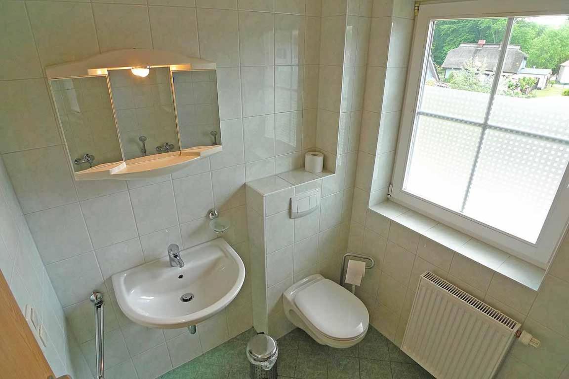Ferienhaus An Der Alten Waldschaenke Ws-11A Born Dış mekan fotoğraf