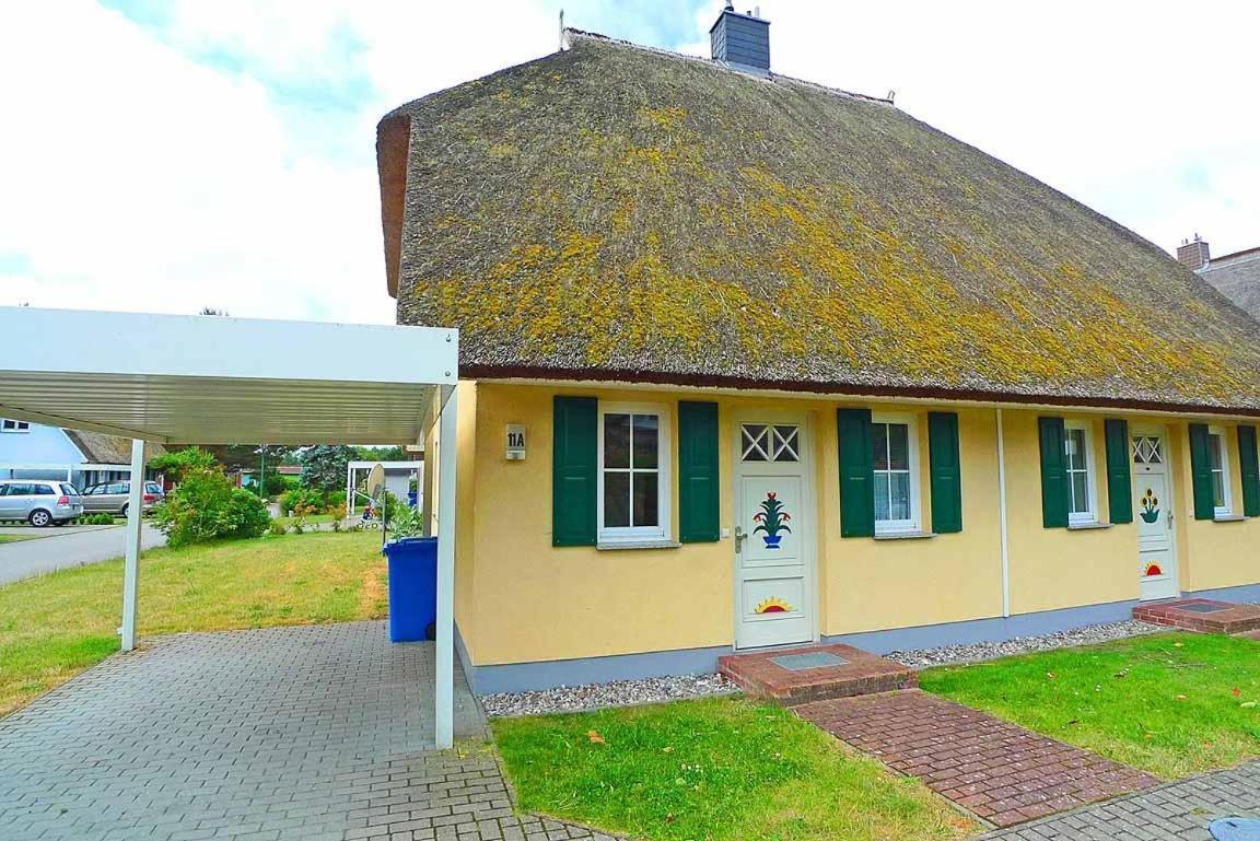 Ferienhaus An Der Alten Waldschaenke Ws-11A Born Dış mekan fotoğraf